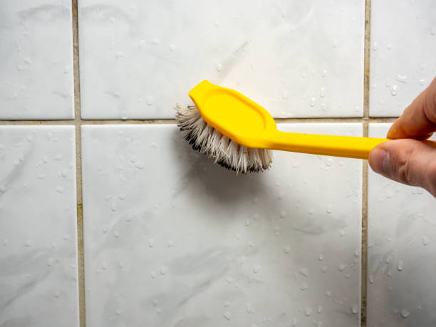 Best Attic Mold Removal  in Star City, WV